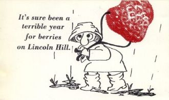 Poulsbo Washington Post Card, 1971