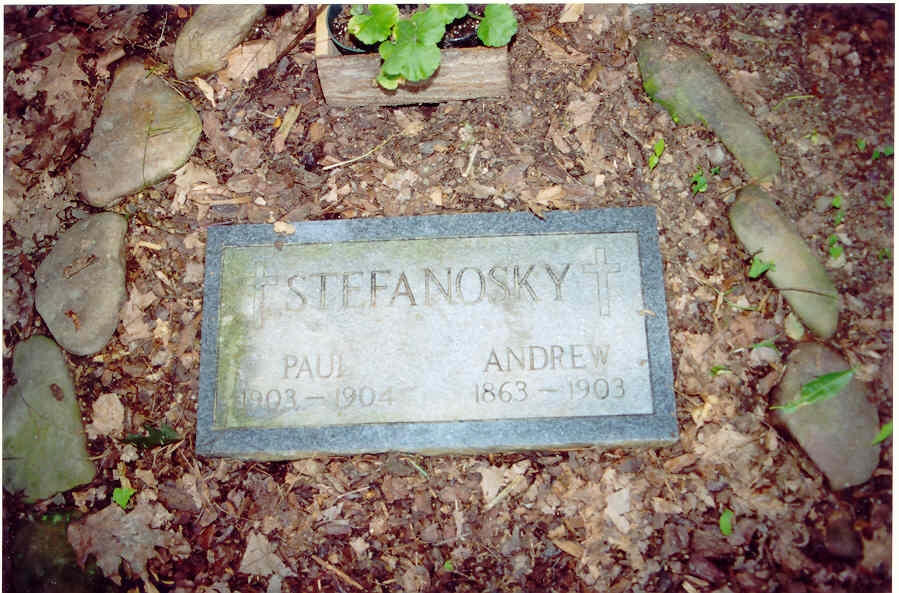 Andrew & Paul Stefanosky gravesite
