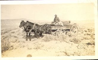 Gil Cromwell in wagon - Deaver Canal Wyoming