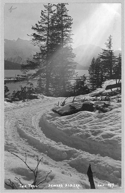 Snow covered trail