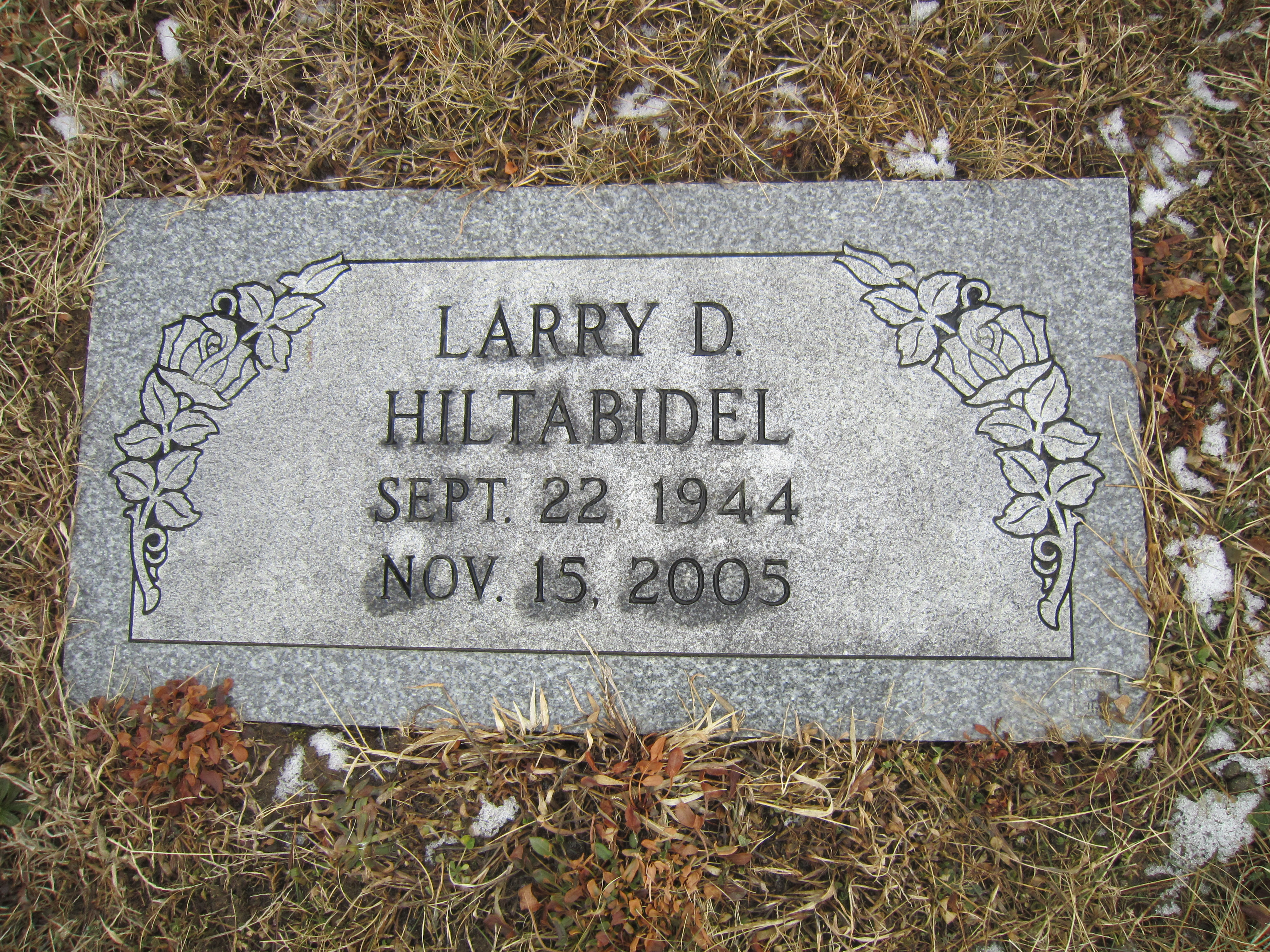 Larry D. Hiltabidel Gravesite