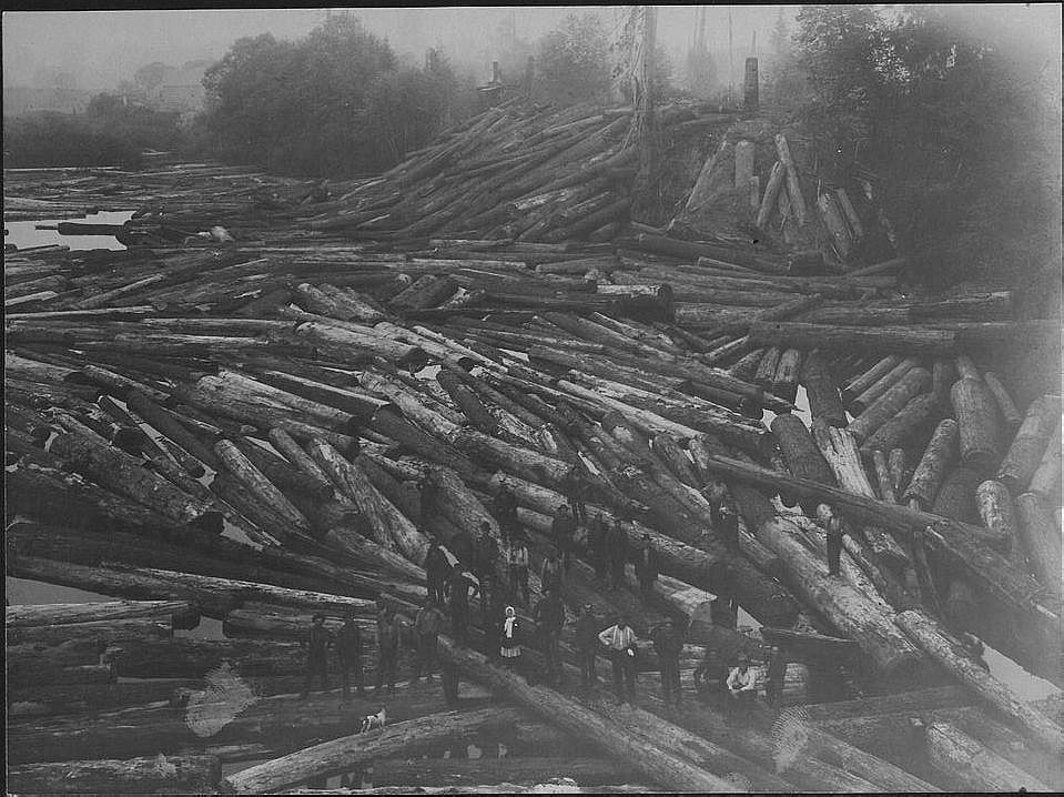 Logging Picture #1