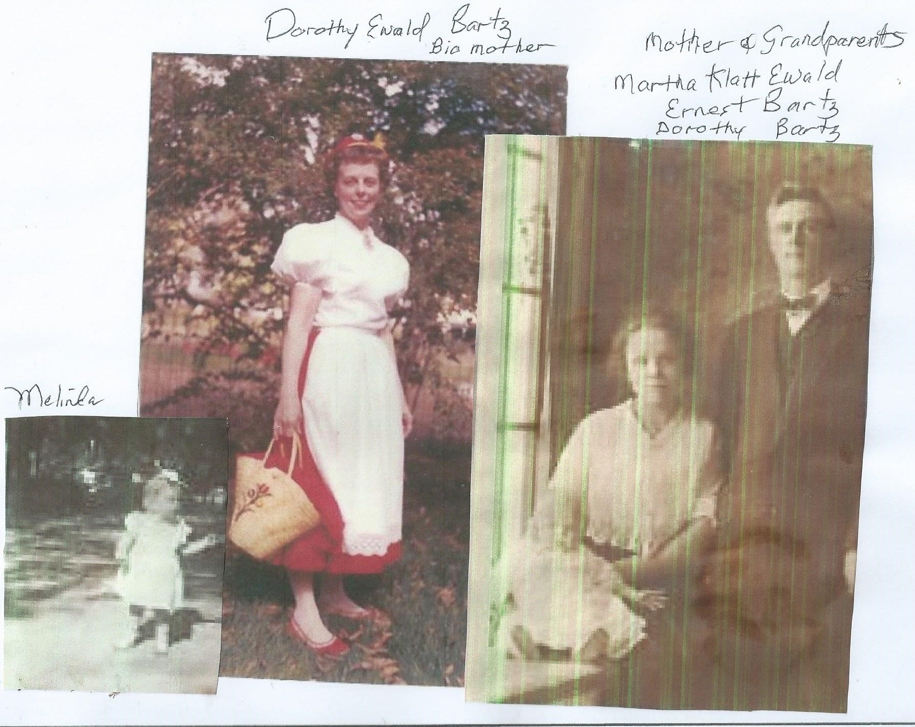 Dorothy Lumley family