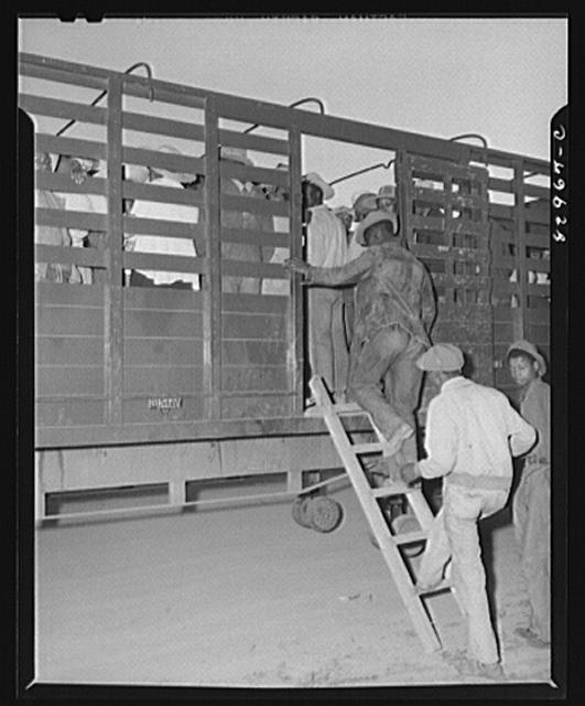 Bridgeton, New Jersey. FSA (Farm Security Administration)...