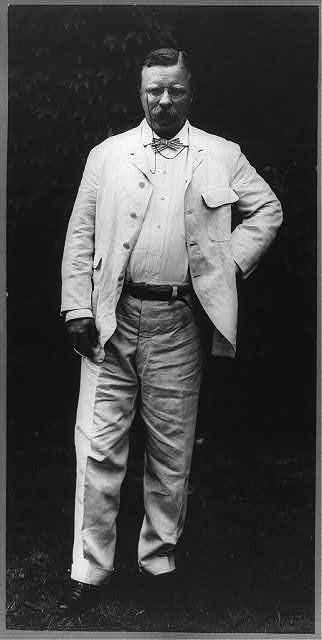 [Theodore Roosevelt, full-length portrait, seated]