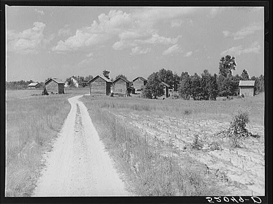 Negro owned farm, about 165 acres. Showing tobacco barns,...