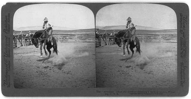 The "strenuous" life of the cowboy - breaking a bucking...