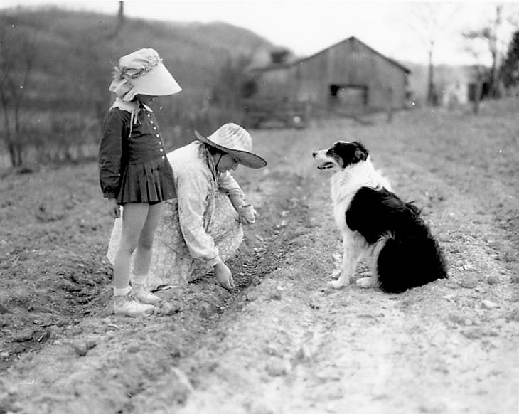 Corley and Ruby Reynolds, TN