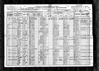 1920 Census, Texas