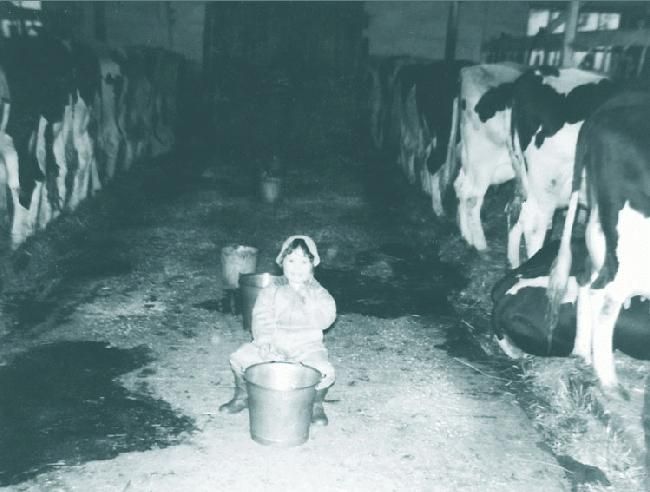Dairy Farmer in Training