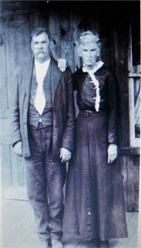 David Thomas Harkins and wife Dovia Stamey Harkins