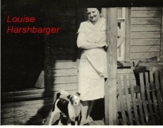 Louise Harshbarger