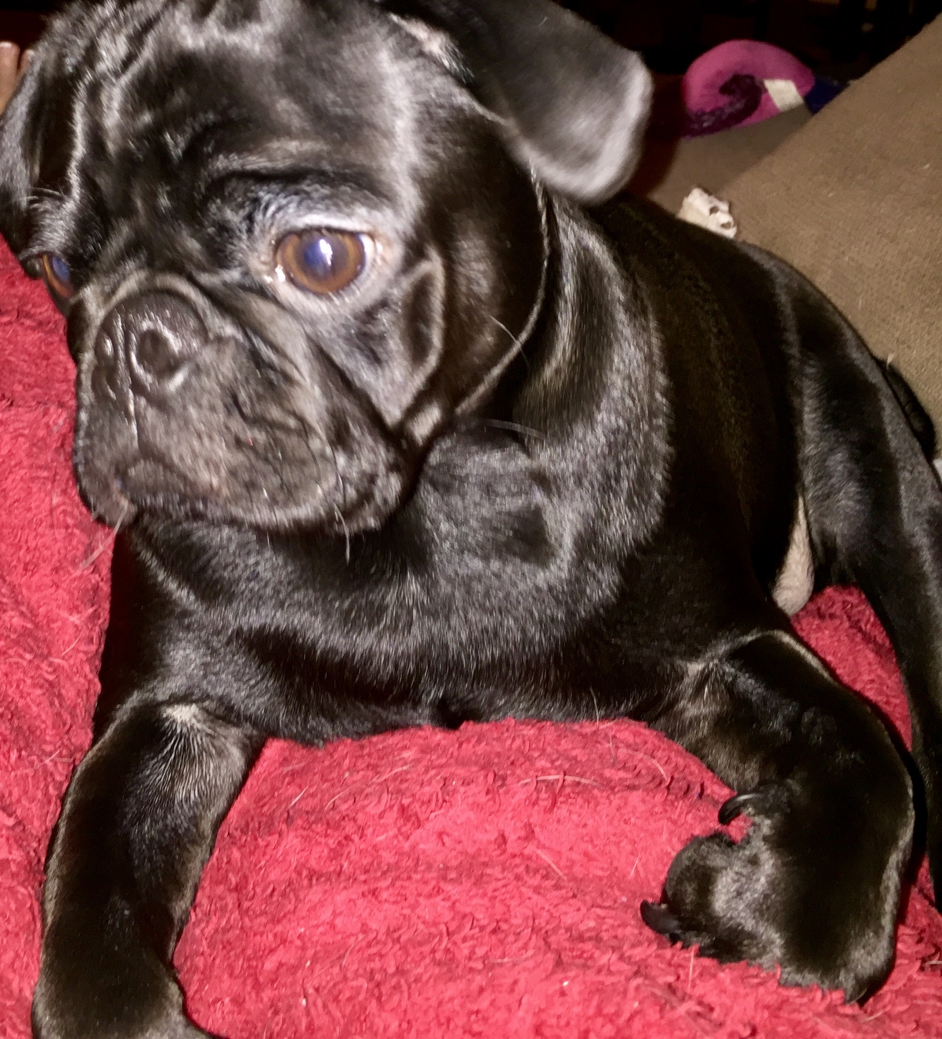 Dyna R. Forester Wallace Mote