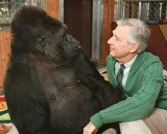 Fred and Koko a real gorilla.