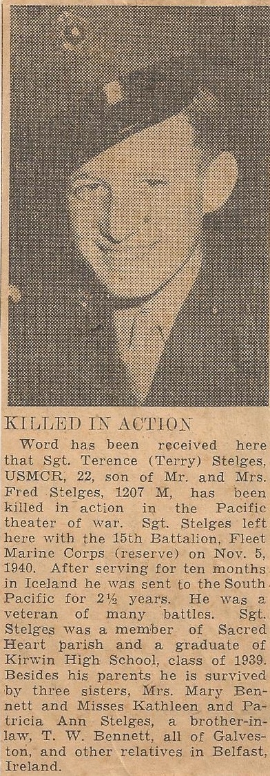 Terence Stelges obituary