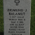 Zigmund Balamut