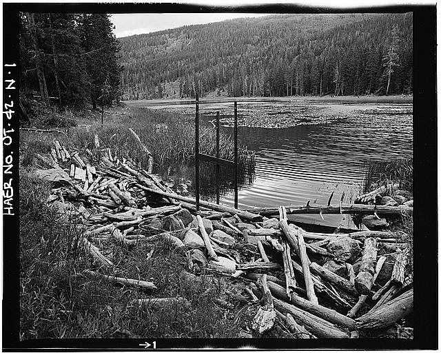 1. OVERALL VIEW OF WATER LILY LAKE AND UPSTREAM FACE OF...