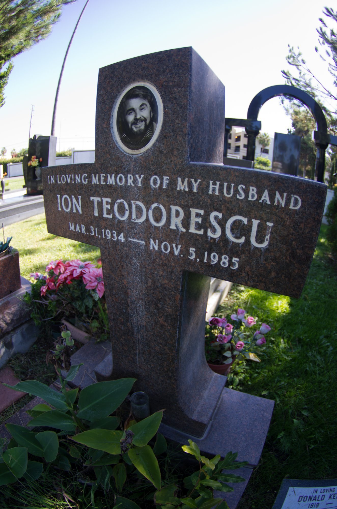 Ion Teodorescu