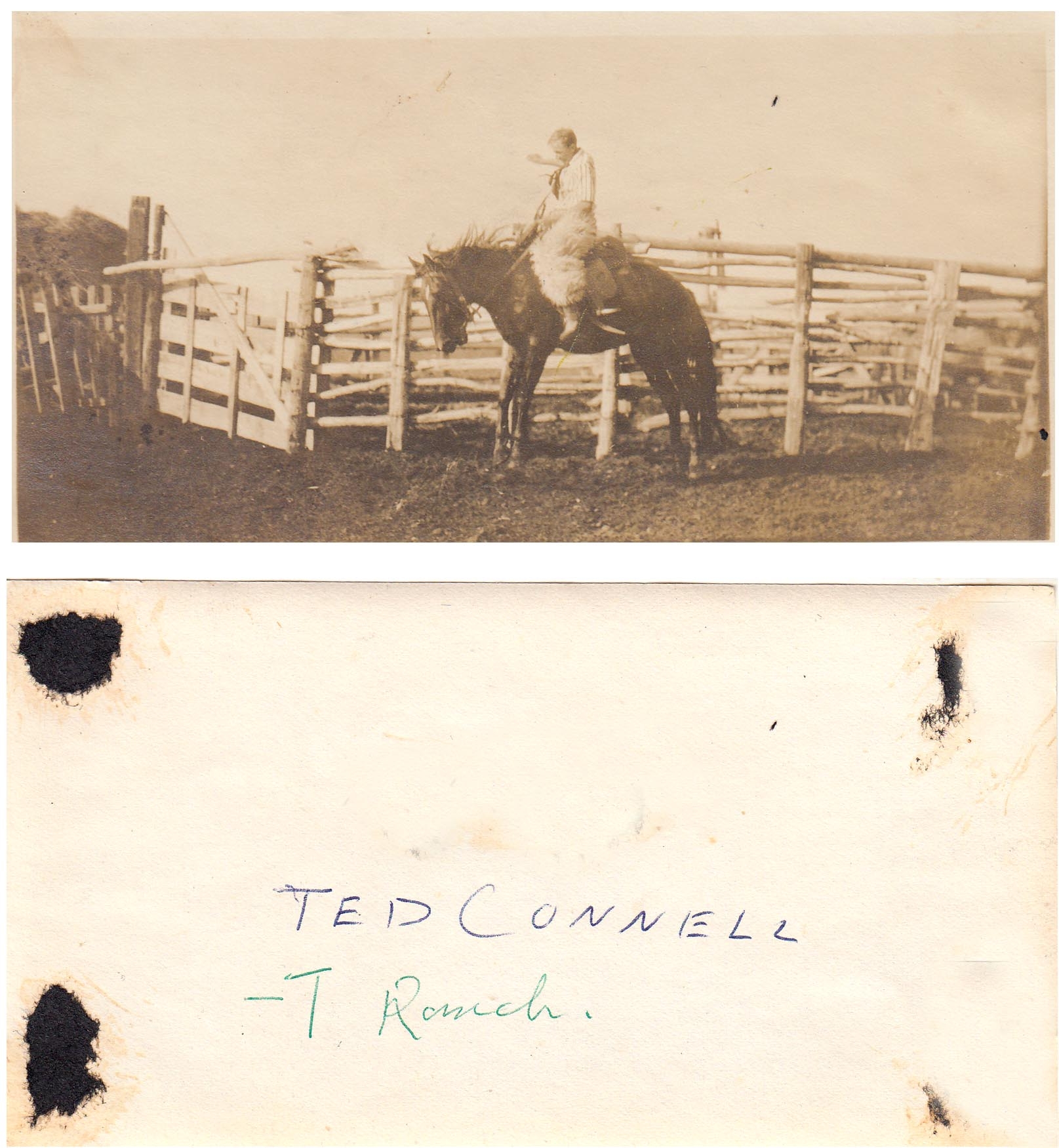 Ted Connell - Bar T ranch