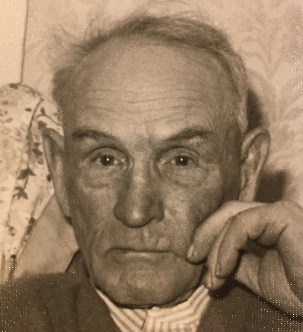 Charles Herbert Townsend  1871-1956