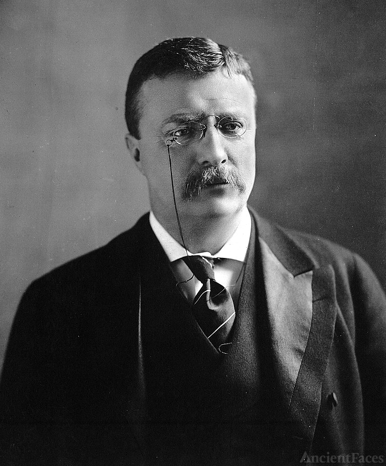 president-theodore-roosevelt