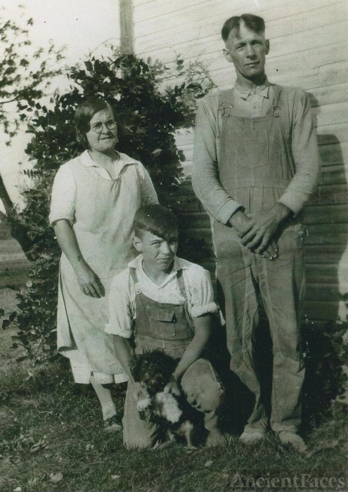 The Clines