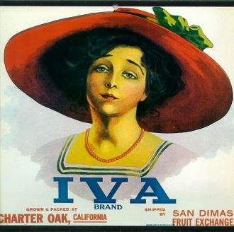 Iva Lacey, Iva Brand Citrus Label