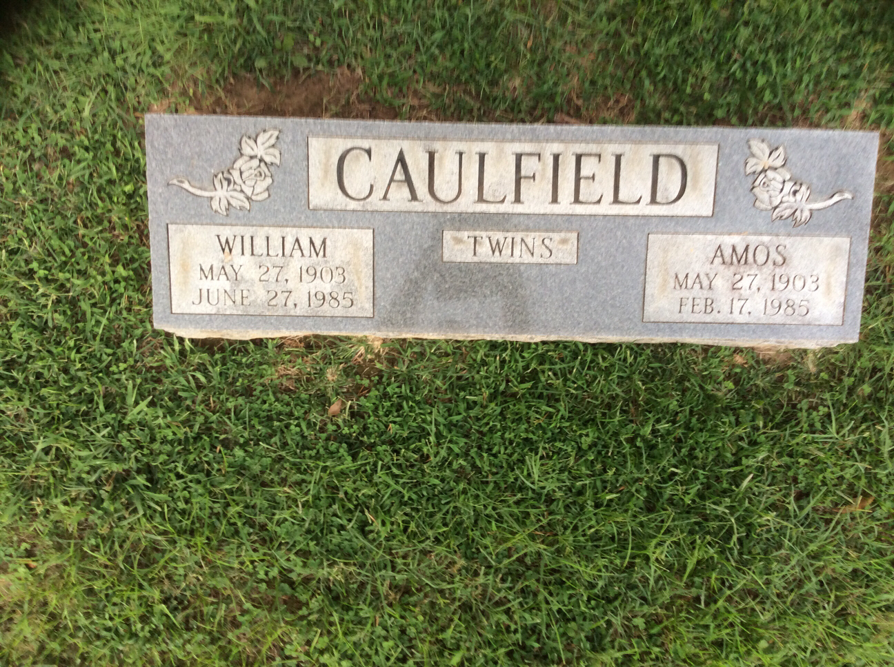 Amos and William Caulfield Gravesite