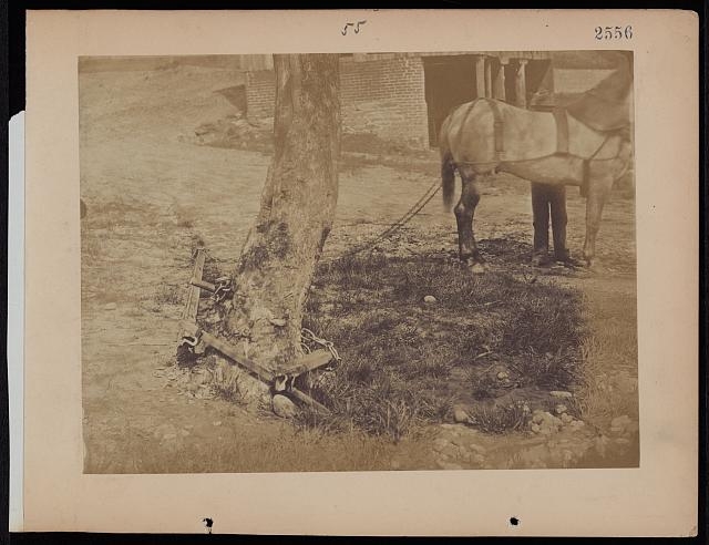 [Military railroad operations in northern Virginia:...