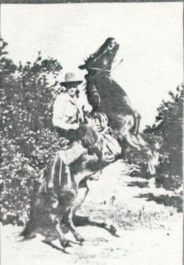 Lewis Lacey and his horse