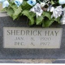 A photo of Shedrick Hay