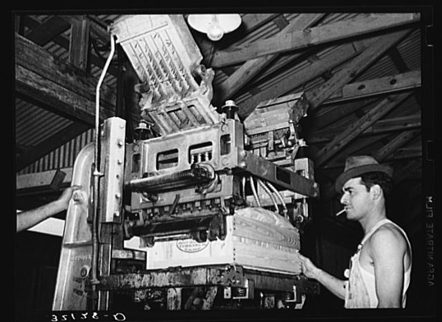 Lidding machine used in packing vegetables. Elsa, Texas