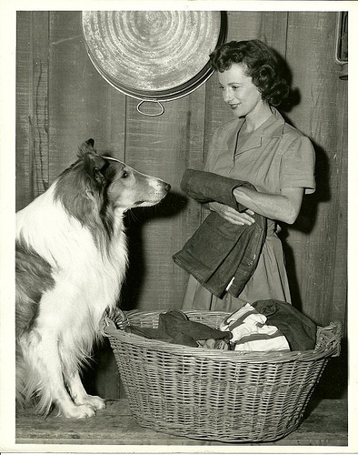 Jan Clayton, Lassie