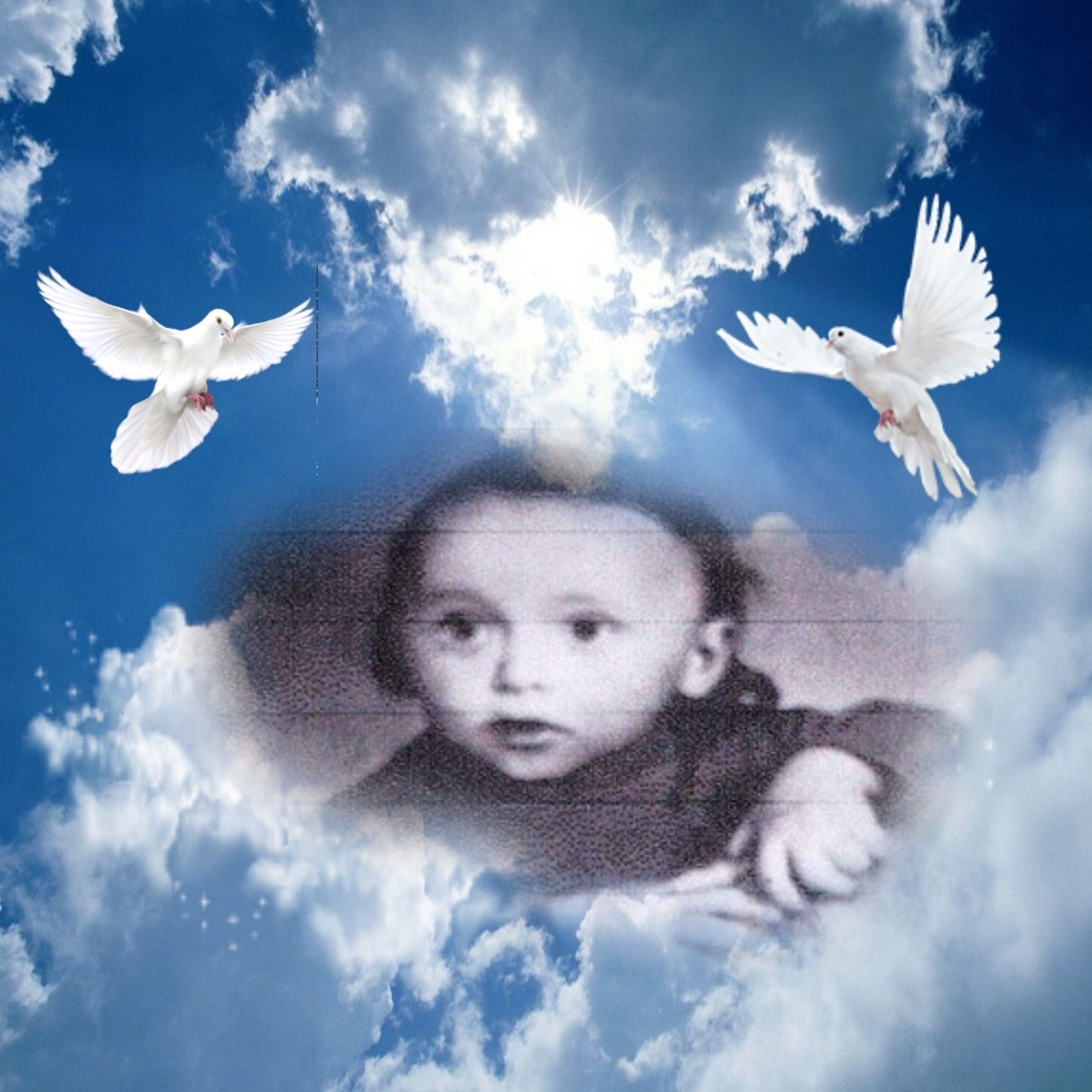 Tibi Doich