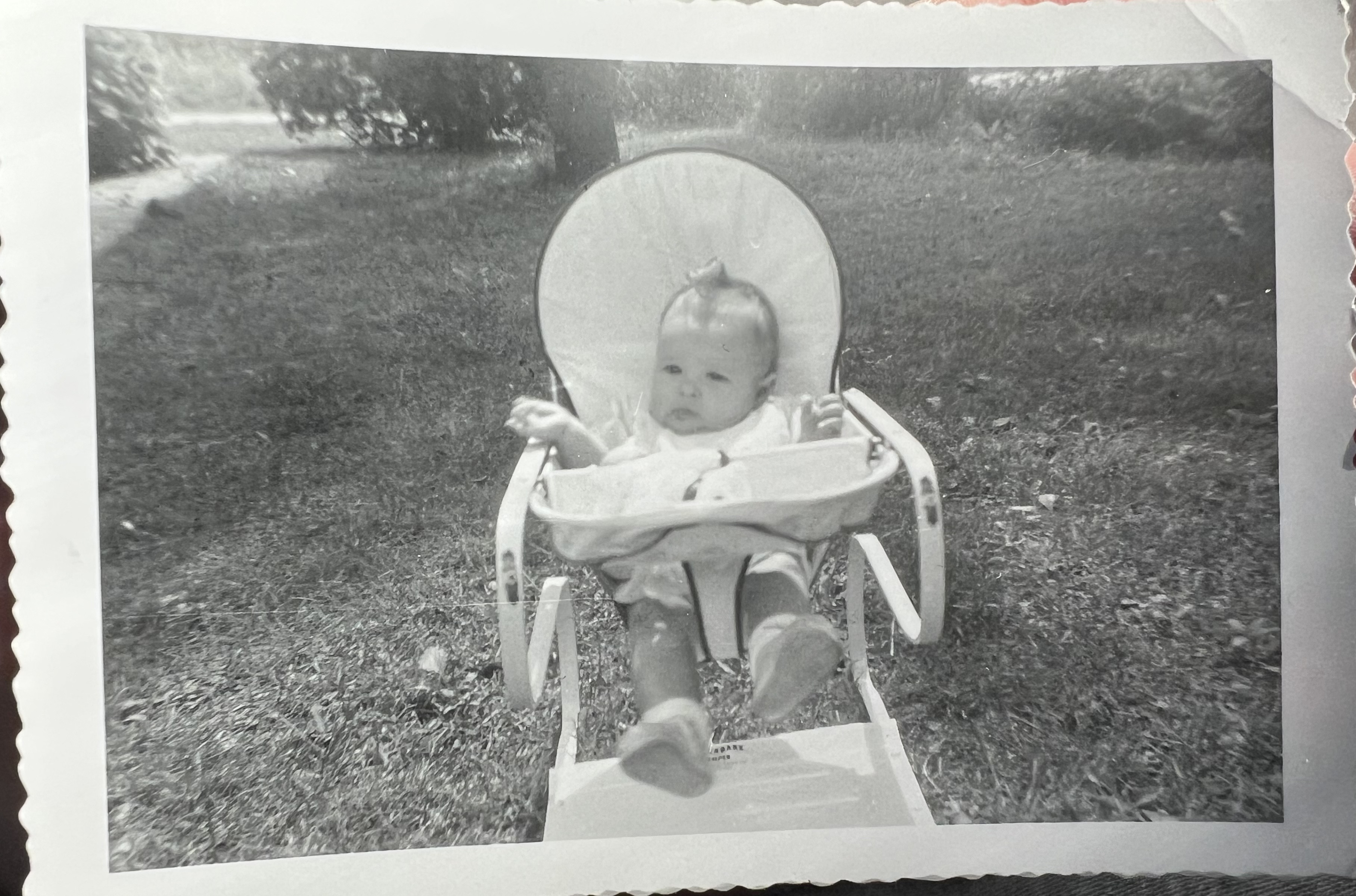 Child in high chair