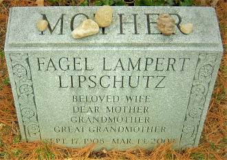 A photo of Fagel Lampert Lipschutz