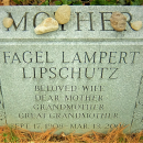 A photo of Fagel Lampert Lipschutz