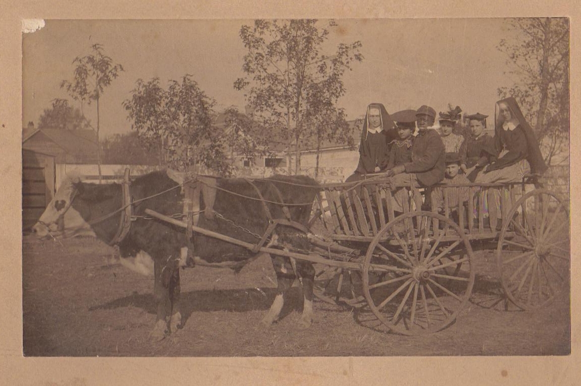 Cow Cart with Nuns