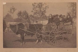 Cow Cart with Nuns