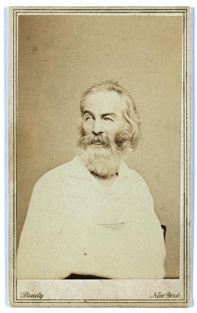 [Walt Whitman, half-length portrait, seated in chair,...
