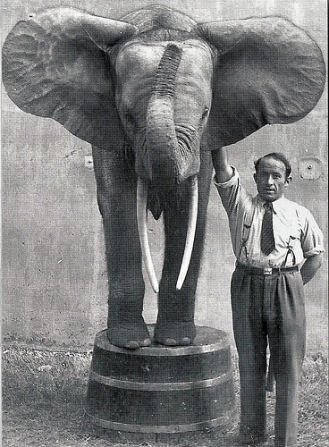 Hugo Schmitt