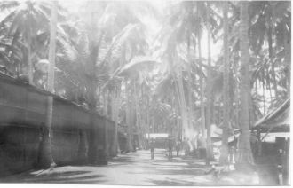 Palawan 1945 42nd BG Area