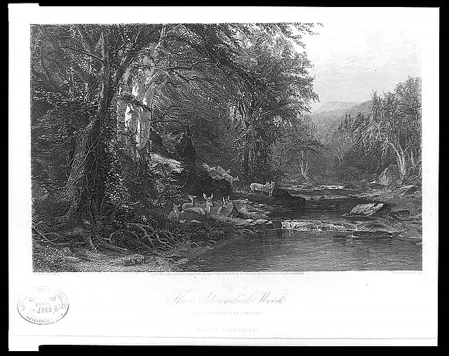 The Adirondack Woods / J.M. Hart N.A. ; R. Hinshelwood.
