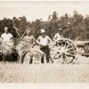 A photo of Roscoe Lynn Chesterman 