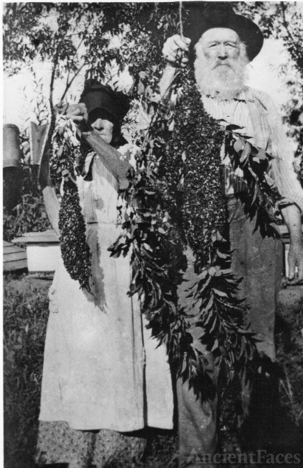 Barbara Ann & Anderson Gibson, Nebraska