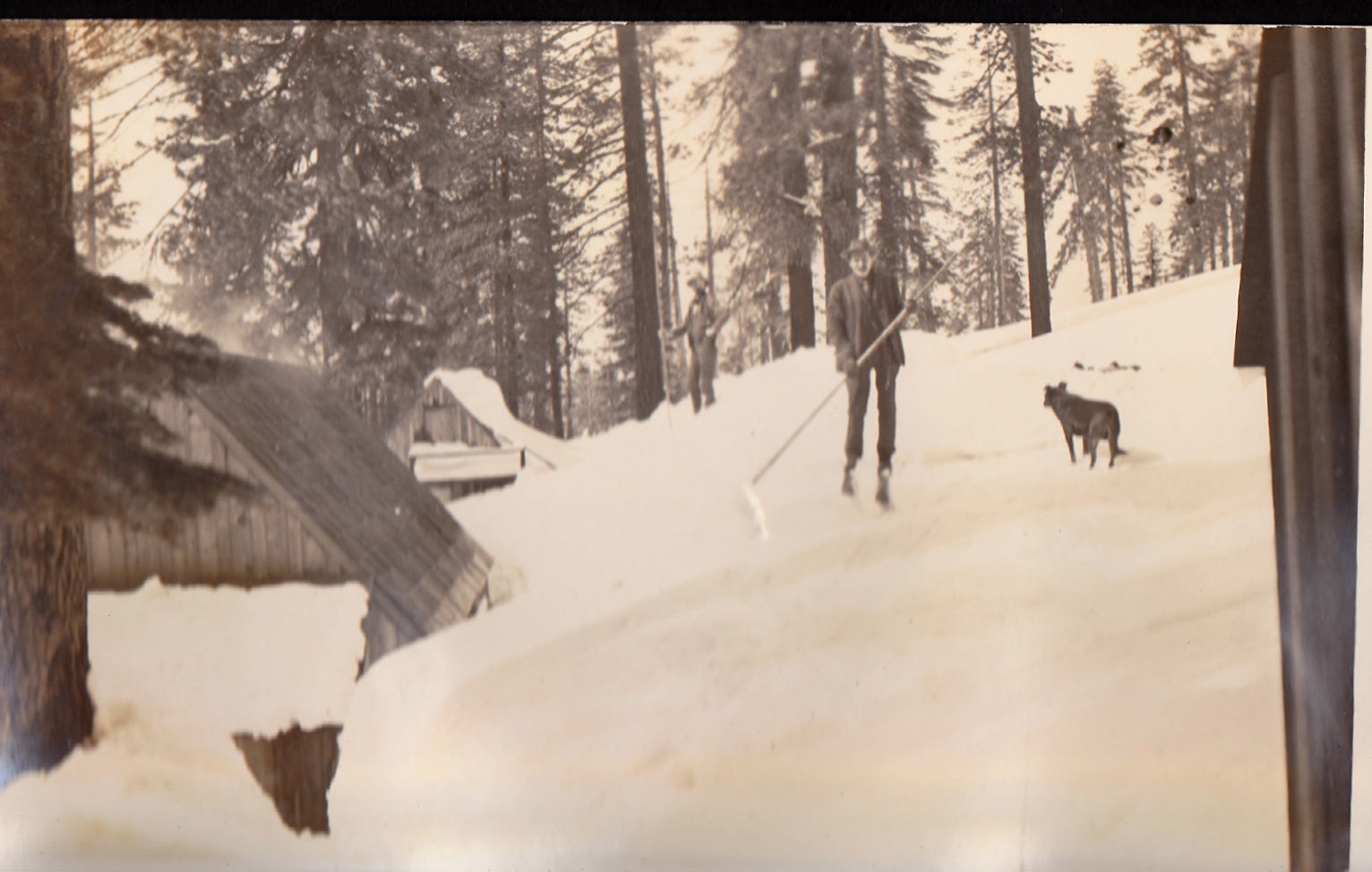 Playing in the snow with dog