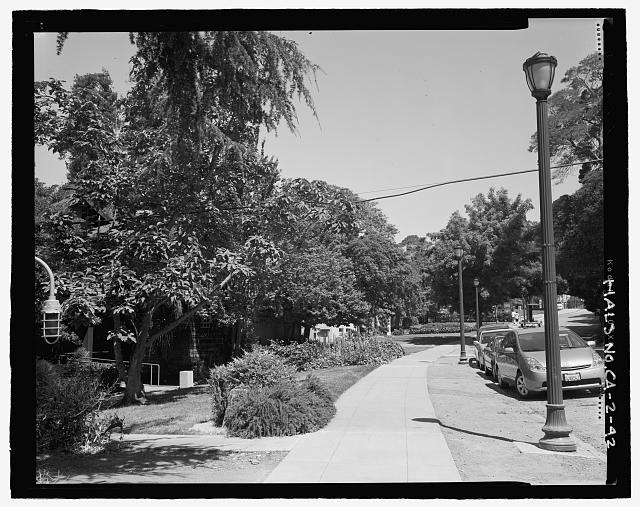 VIEW OF PIEDMONT AVENUE NORTH OF BANCROFT AVENUE AT 2234...