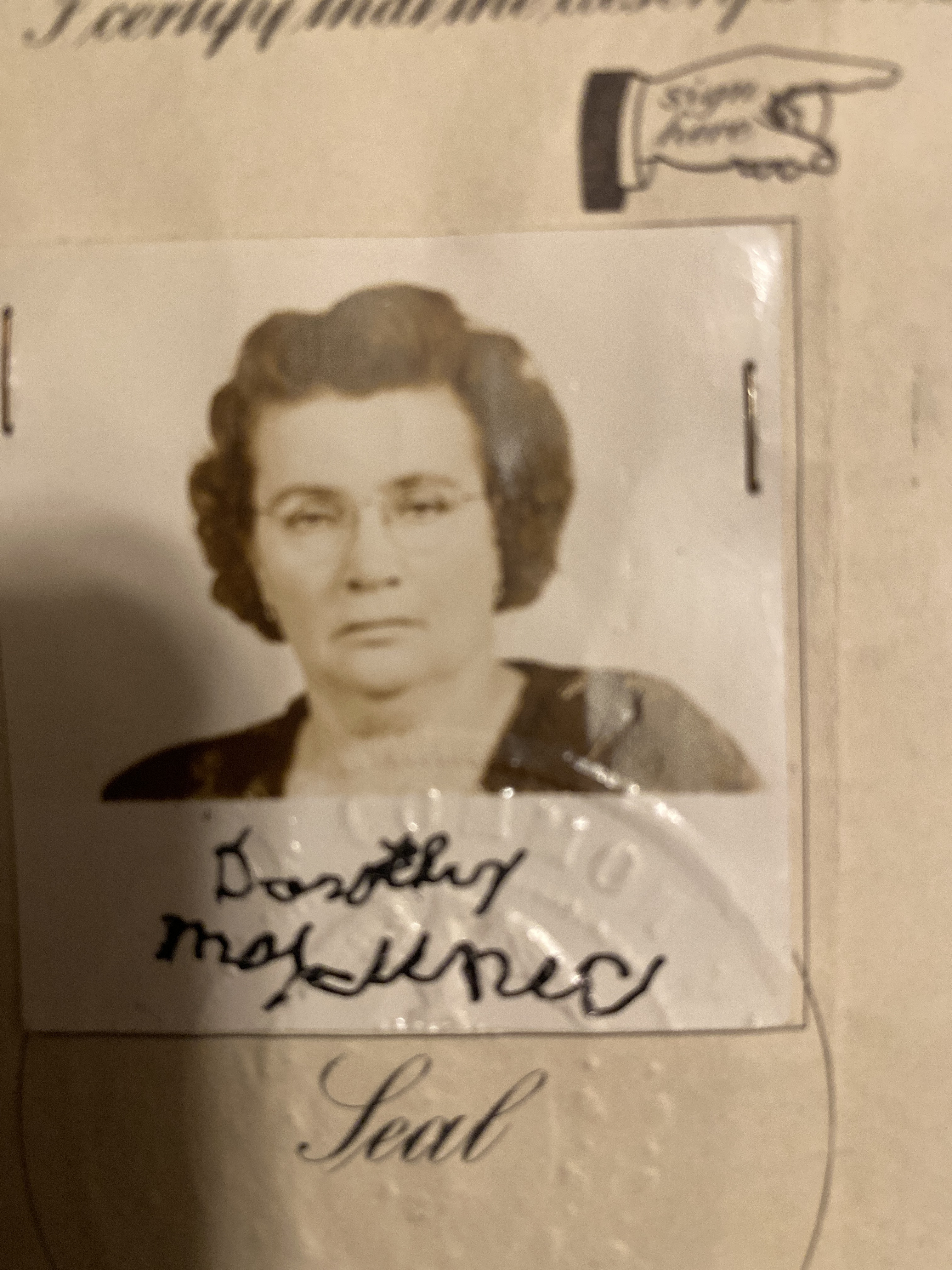 A photo from the Lost & Found collection.