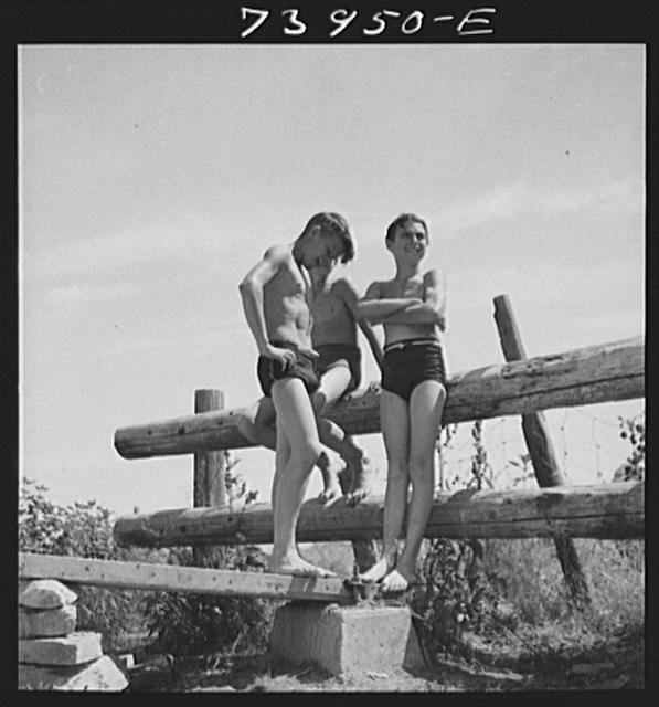 [Untitled]