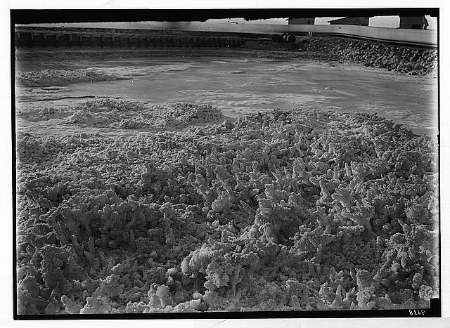 Dead Sea album prepared for the Palestine Potash Ltd. An...